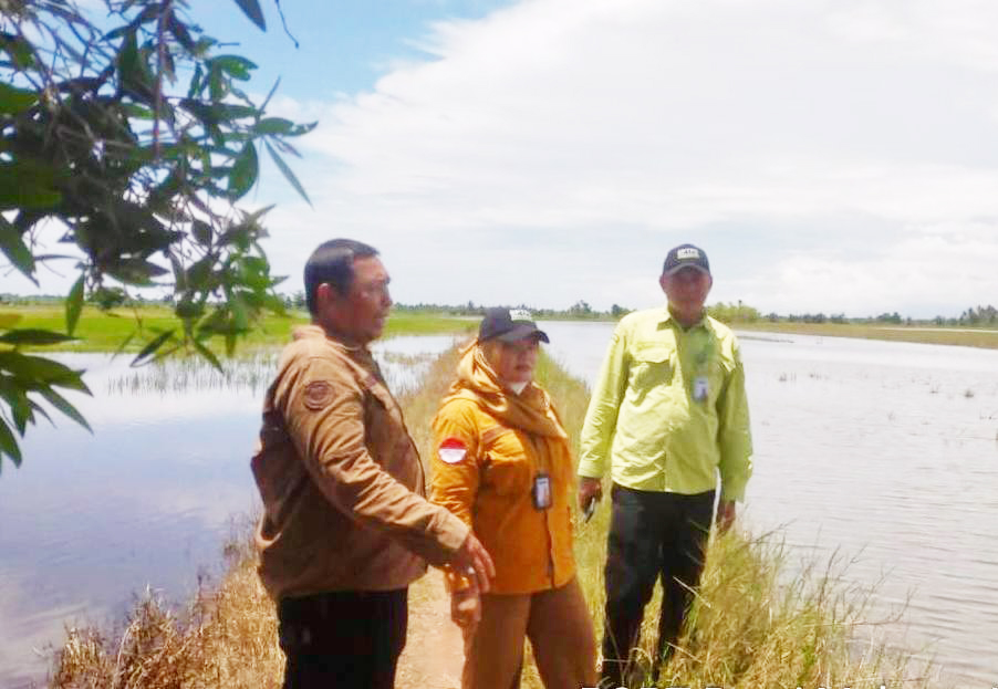 MENINJAU: Petugas BPTPH Kalsel meninjau kondisi petani hortikultura di Banjarbaru untuk menekan serangan OPT Organisme Pengganggu Tanaman (OPT).