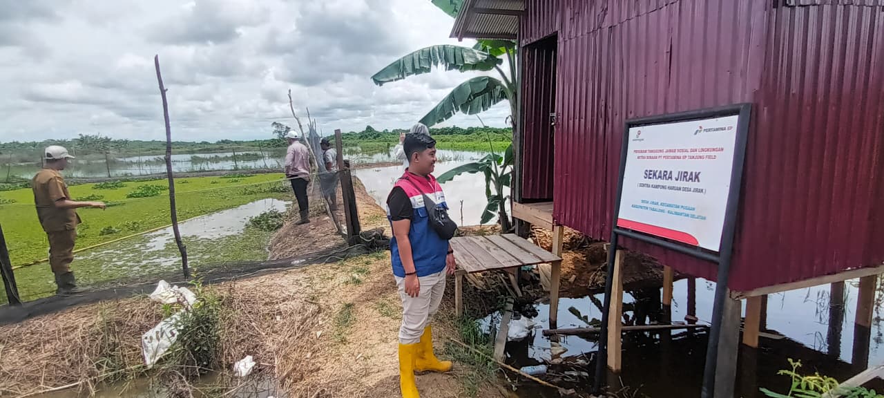 SEKARA: Kolam budidaya haruan milik Kelompok Haruan Borneo Desa Jirak yang dibantu PT Pertamina EP Tanjung.