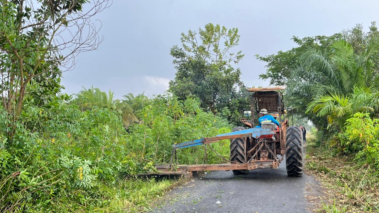 BABAT SEMAK:Julong Group melaksanakan pembersihan rumput liat menggunakan tractor slasher.