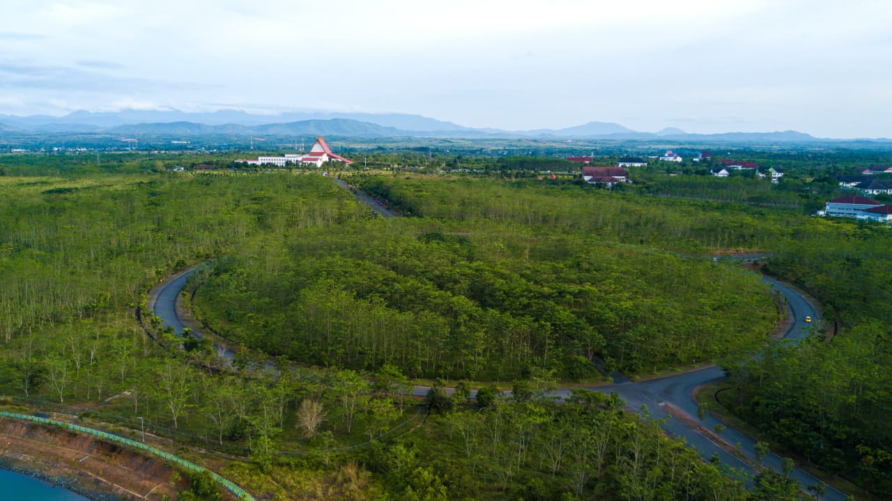 HUTAN HUJAN: Hutan Pers Taman Spesies Endemik Indonesia yang diresmikan Presiden Joko Widodo pada Hari Pers Nasional 2020 lalu