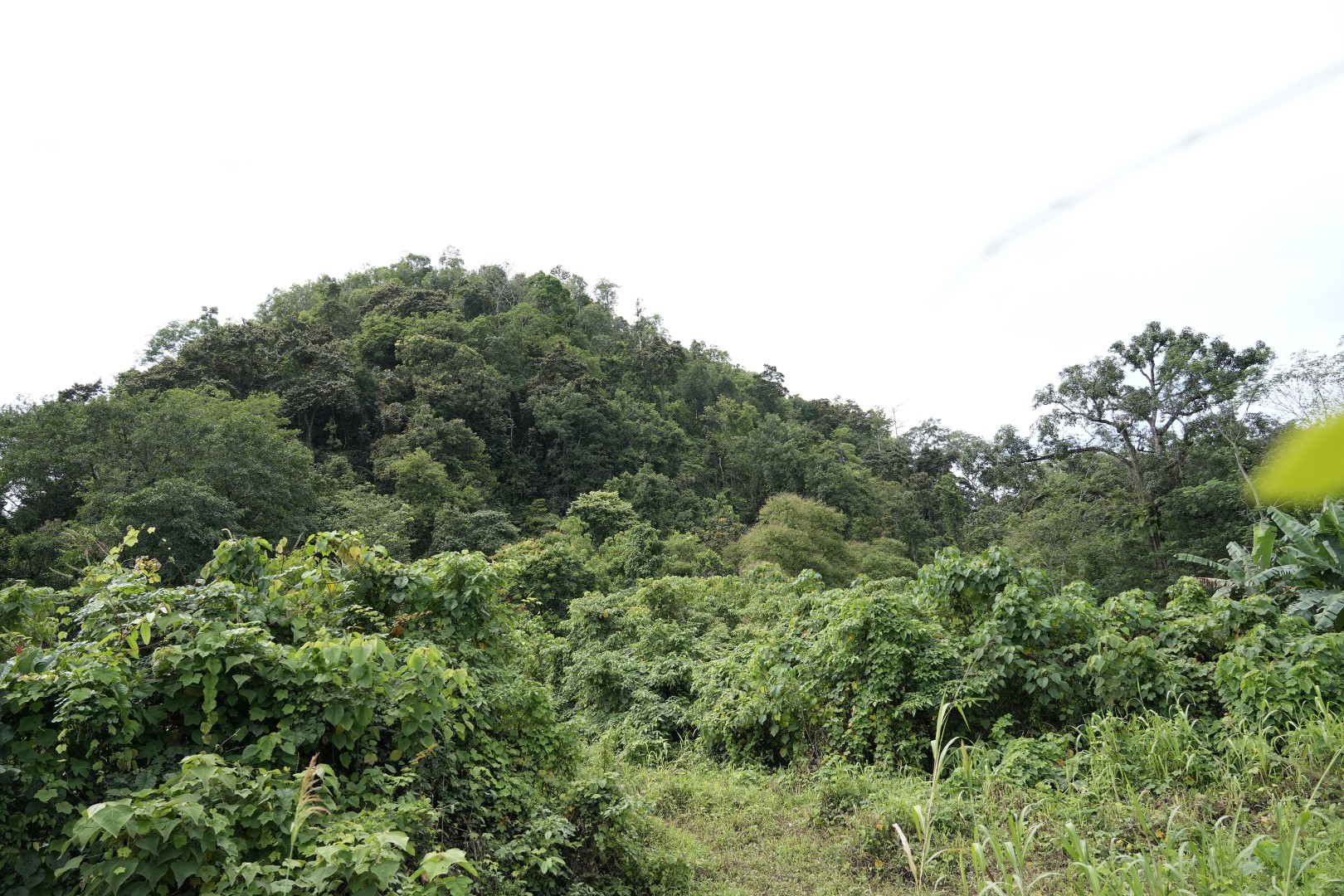 GUA BARAMBAN: Salah satu spot alam yang ada di Desa Baramban Kecamatan Piani, terdapat gua karstnya.
