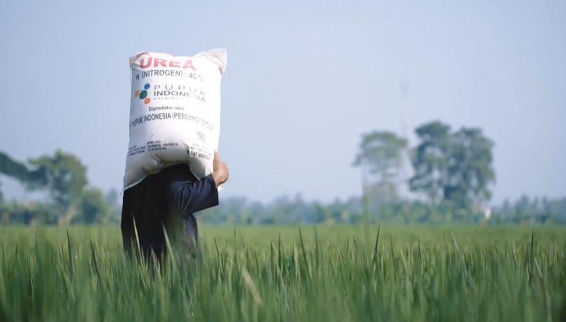 BAWA PUPUK: Petani di Kalsel mengangkat sekarung pupuk di pundaknya untuk ditebar di persawahan.