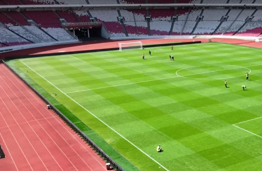 Penampakan rumput Stadion Utama GBK jelang Persija Jakarta vs PSIM Jogja.