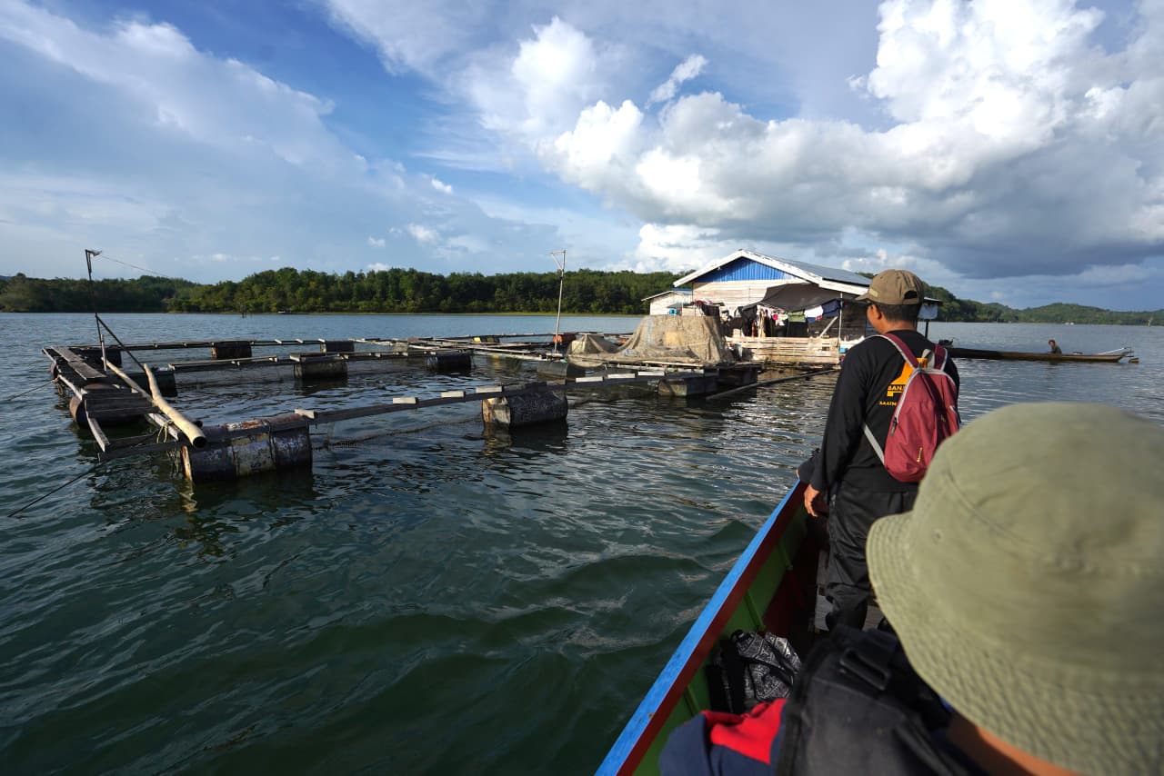 TERANCAM HANYUT: Keramba apung milik pembudidaya ikan air tawar di Sungai Riam Kanan.