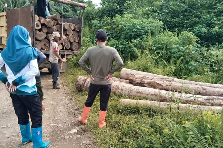 ILLEGAL LOGGING: Petugas KPH Tanah Laut mengamankan puluhan gelondong kayu saat patroli pengamanan kawasan hutan di Desa Riam Adungan, Kecamatan Kintap, Kabupaten Tanah Laut, Jumat (12/12/2025).