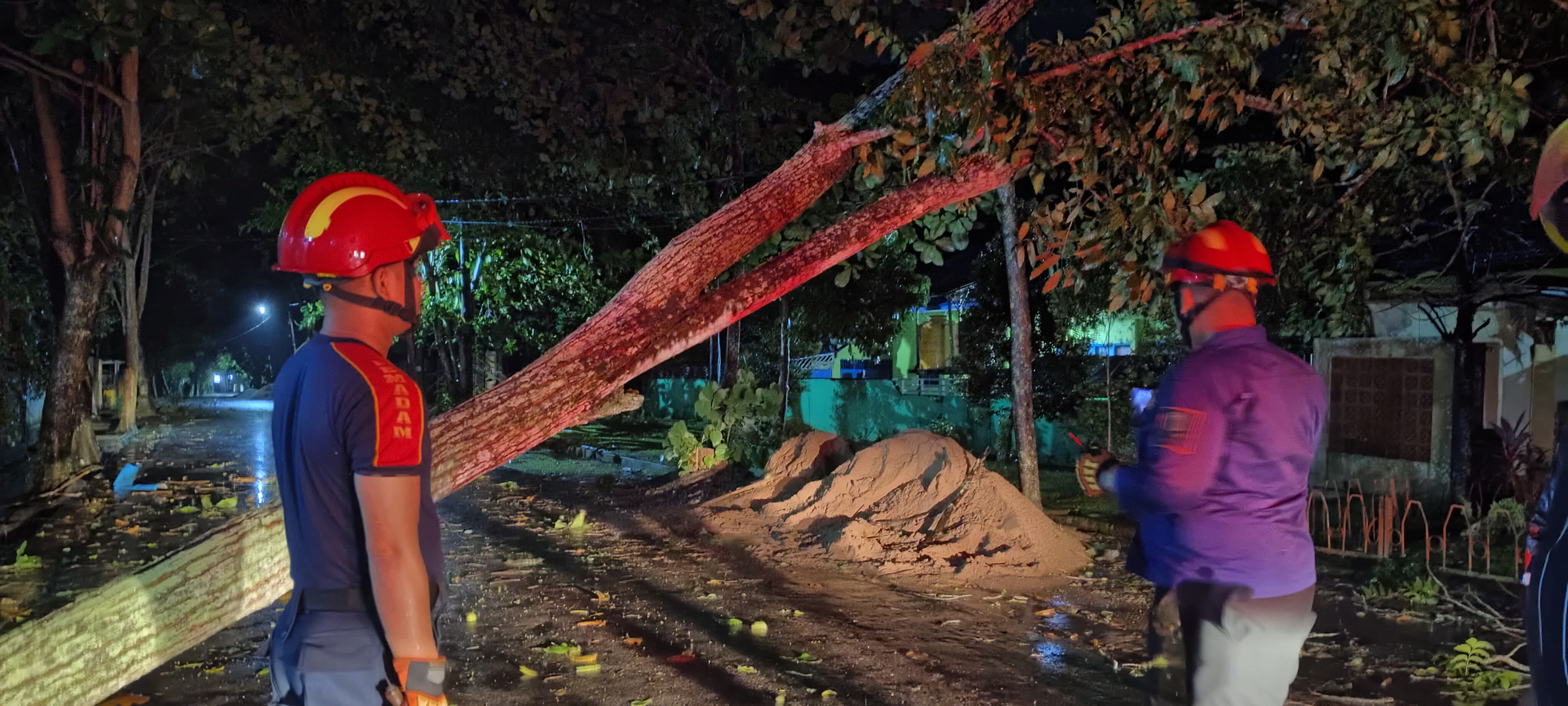 SIGAP: Tim Damkar dan BPBD HSU melaksanakan pembersihan sejumlah pohon tumbang akibat hujan disertai angin kencang.
