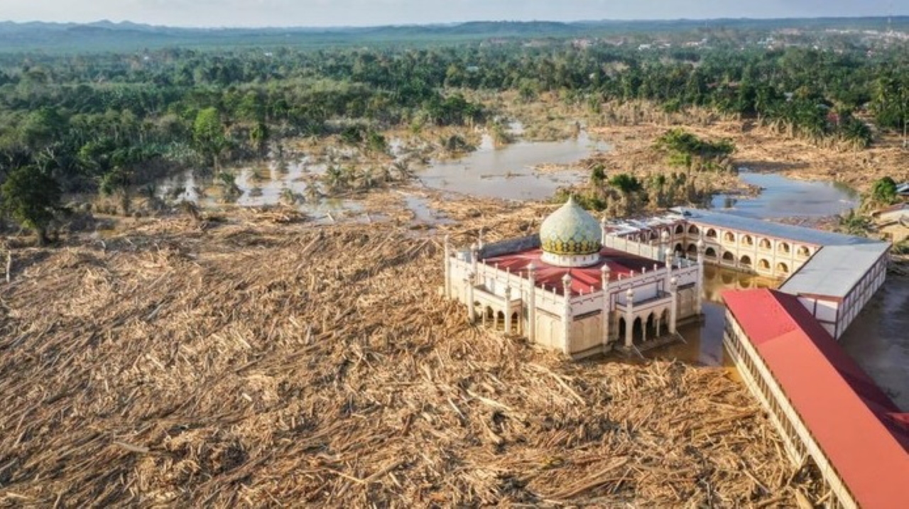 BENCANA EKOLOGIS: Lautan kayu gelondongan di Aceh Tamiang pasca banjir besar. (Erlangga Bregas Prakoso/Antara Foto)