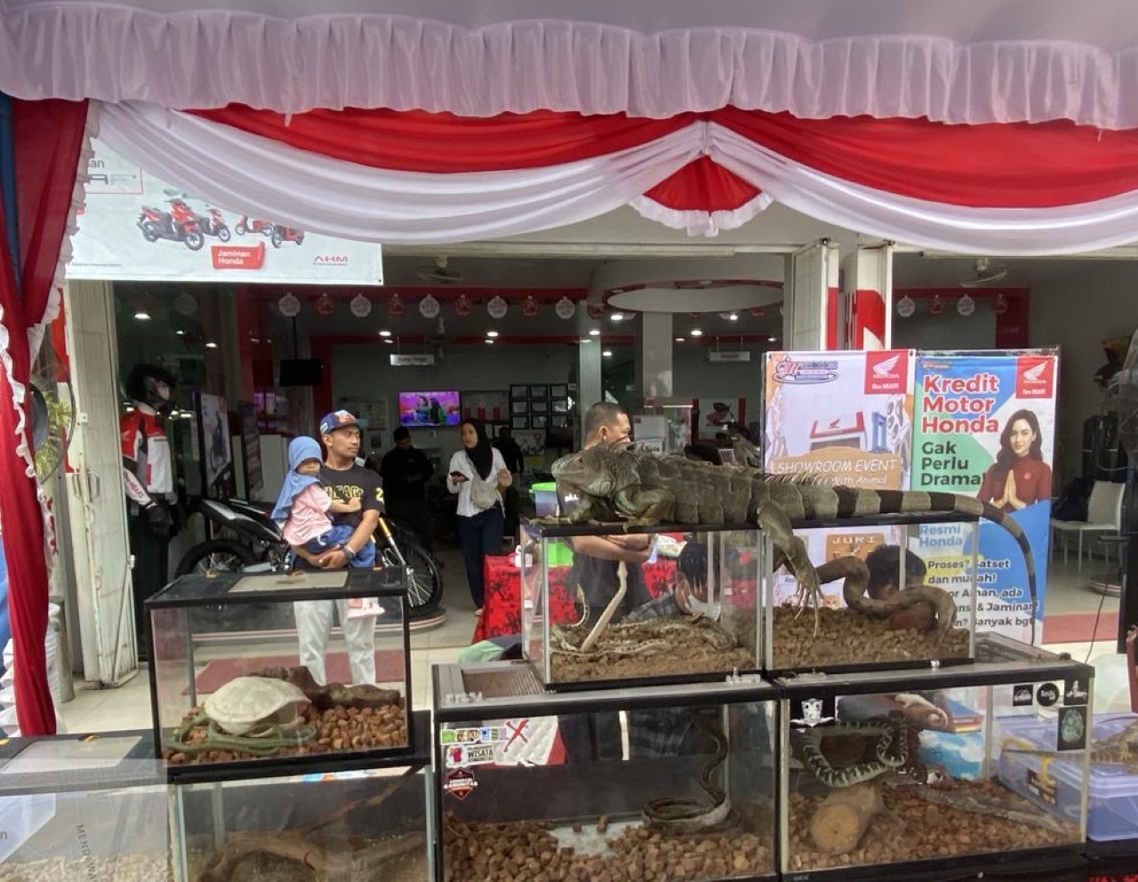 SERU: Showroom event Honda dengan Hero Day With Animal.