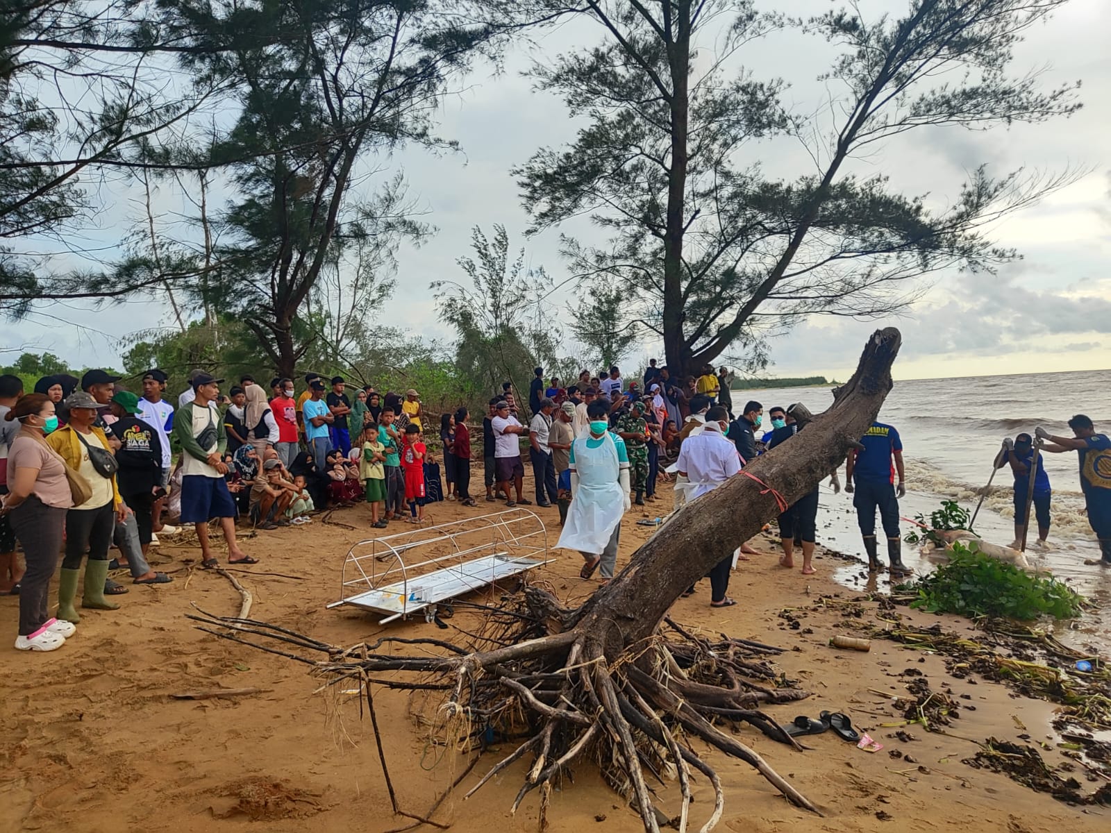 EVAKUASI : Tim gabungan dari Polsek Kurau, Inafis, Damkar dan relawan mengevakuasi jasad Rijki Ramadan (20), ABK yang hilang pada 18 Desember lalu yang ditemukan di pesisir pantai di Desa Sungai Bakau