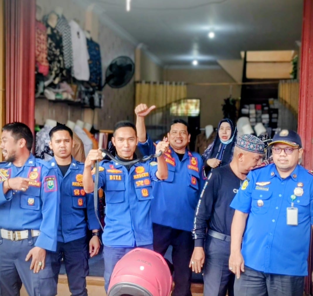 EVAKUASI: Seekor kobra hitam yang masuk ke dalam toko pakaian di Kompleks Pasar Alabio, Kecamatan Sungai Pandan, Kabupaten HSU, berhasil dievakuasi tim Damkar Satpol PP dan Damkar HSU.