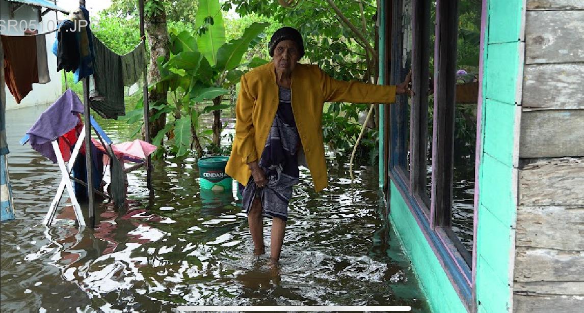 TERENDAM: Rumah warga di Kelurahan Sungai Lulut, Banjarmasin Timur yang terendam.