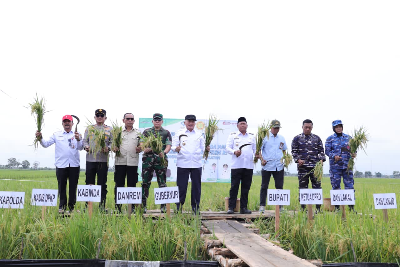 SWASEMBADA PANGAN:H Muhidin Panen Raya dan Pengumuman Swasembada Pangan Nasional di Desa Beringin Jaya, Kecamatan Anjir Muara, Kabupaten Barito Kuala, pada Rabu (7/1/2025).