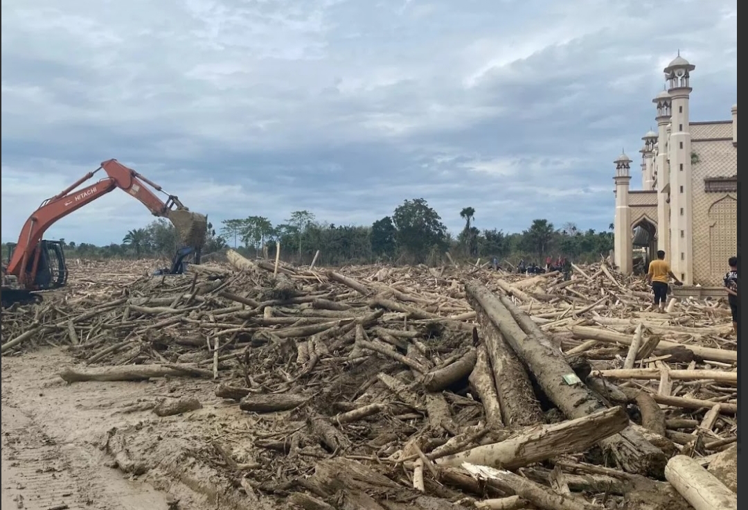 MENUMPUK: Tumpukan kayu sisa banjir dan longsor di Sumatera. (Jawa Pos)