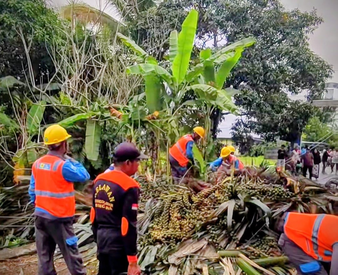 WASPADA: Puting beliung dan angin kencang sering terjadi di wilayah Kabupaten HSU, membuat pohon tumbang dan menutup akses jalan.