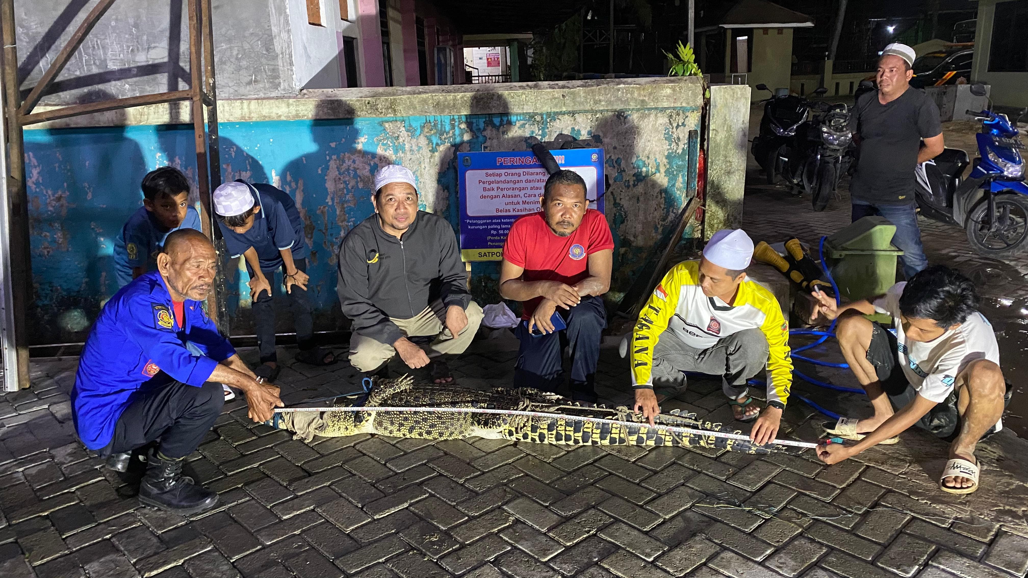 BUAYA: Seekor buaya air tawar berhasil ditangkap oleh anggota Damkar HSU dibantu warga Kecamatan Banjang.