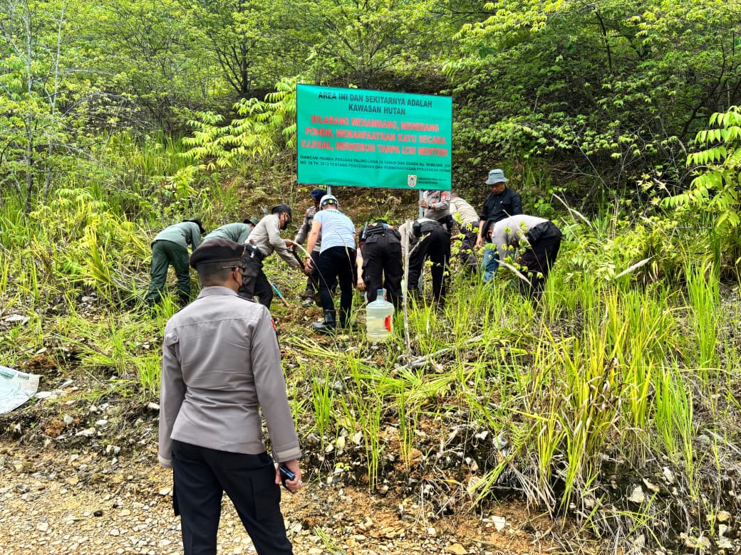 Tim Gabungan saat memasang papan peringatan di kawasan hutan lindung, Kandangan