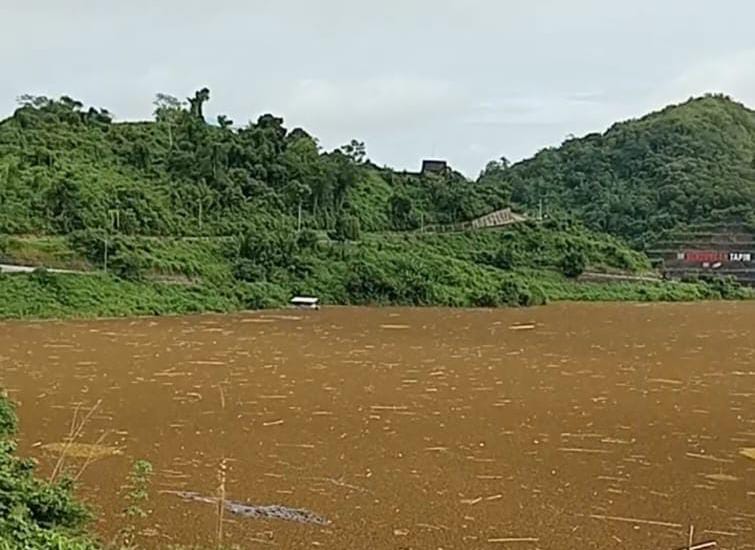 DESAK: Anggota DPRD Tapin Rustan Nawawi ikut menyoroti banyaknya tanaman kayapu di Bendungan Tapin.