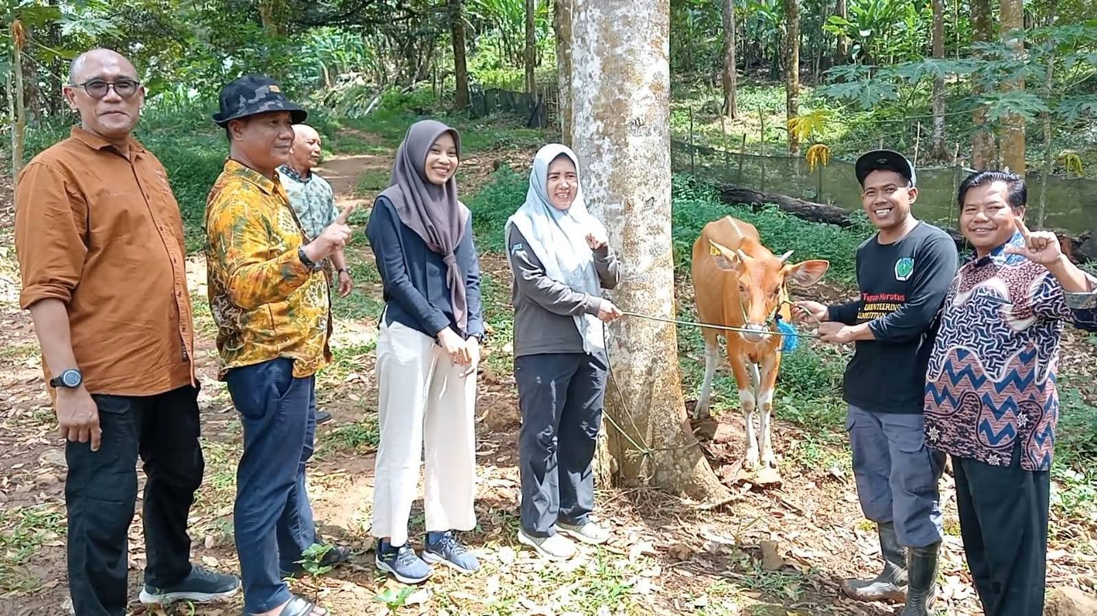 SERAHKAN : Ketua KTH Bumi Priangan, Mus Mujiono saat menerima bantuan hibah ternak sapi dari Dishut Kalsel. (Foto : Dishut Kalsel untuk Radar Banjarmasin).