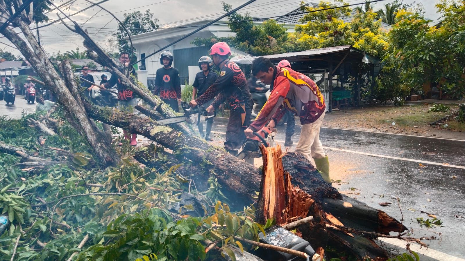 TUMBANG: BPBD HST menangani musibah angin puting beliung yang terjadi Minggu (1/2/2026) sore.