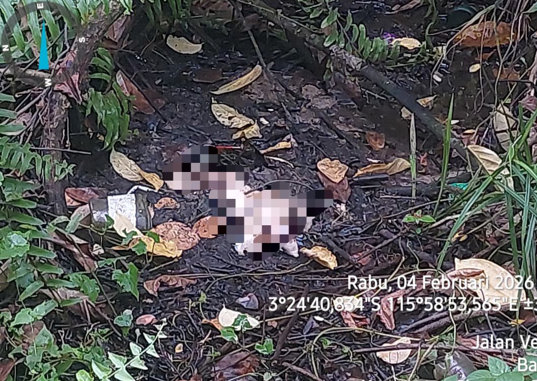 JASAD BAYI: Ditemukan di semak rawa Jalan Veteran, Desa Barokah, Kecamatan Simpang Empat, Rabu (4/2) petang.