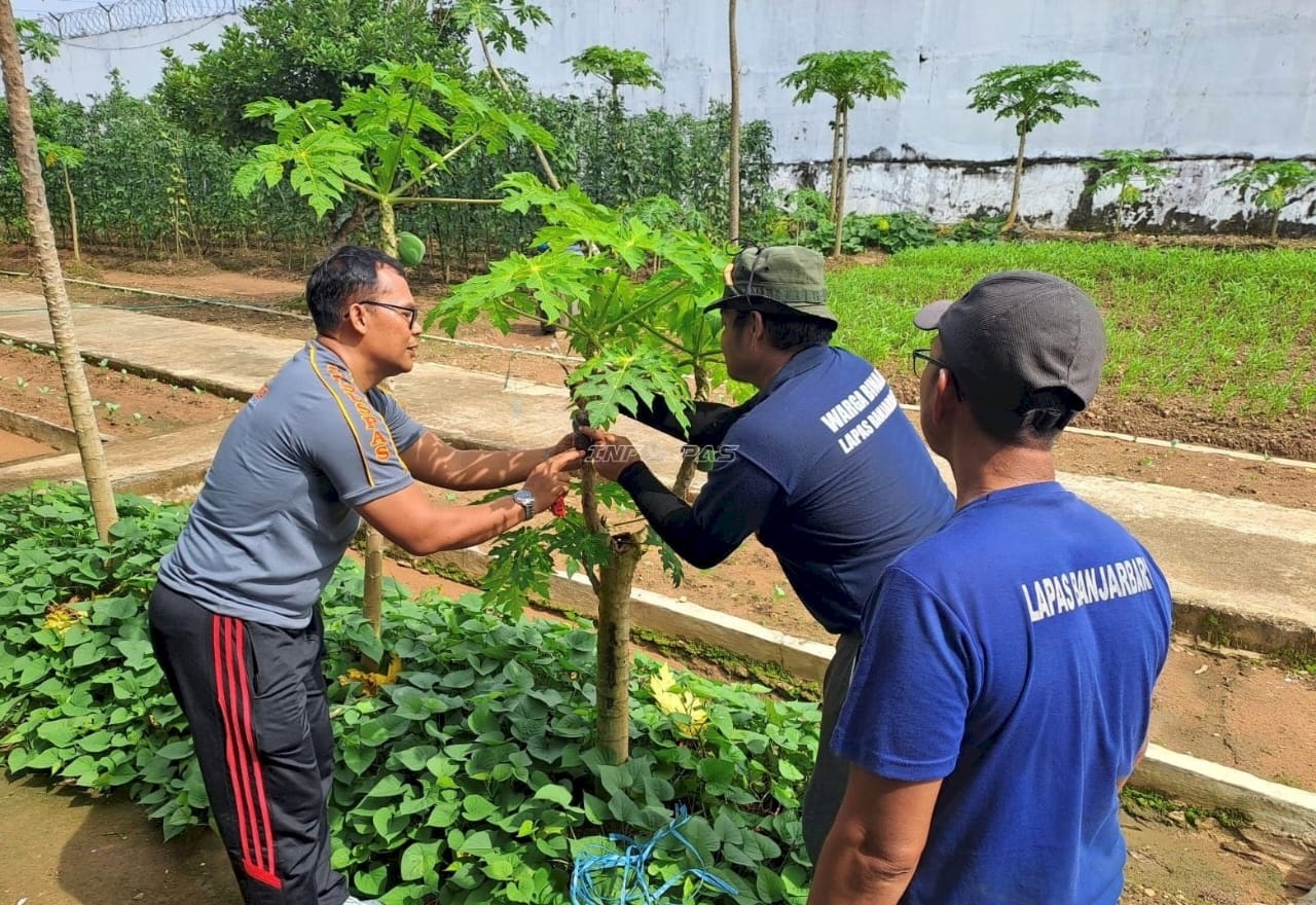 MENCANGKOK: Dua warga binaan di Lapas Banjarbaru tampak telaten mencangkok tananaman. 
