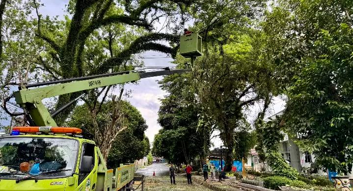 Pemangkasan dahan pohon menggunakan skylift dilakukan sebagai upaya untuk antisipasi pohon tumbang menyusul cuaca ekstrem disertai hujan dan angin kencang dalam beberapa hari terakhir.(Foto: Dok Radar