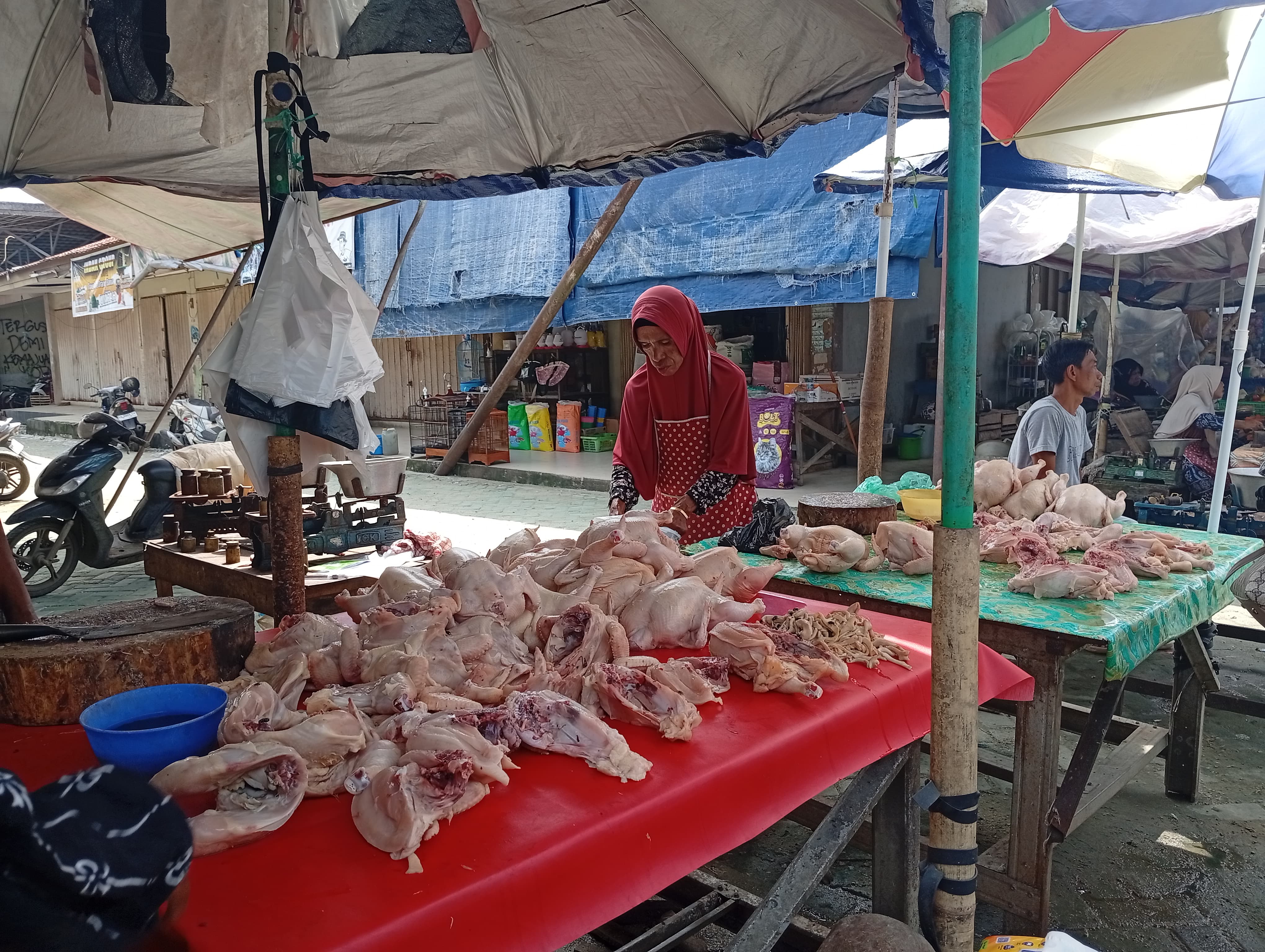 TURUN: Harga daging ayam di Pasar Los Batu Kandangan sudah mulai turun setelah sempat mengalami kenaikan yang signifikan. (Foto: M.Padil Ihsan/Radar Banjarmasin) 