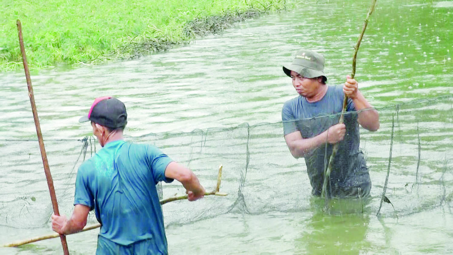 BUDI DAYA: Kolam budi daya ikan air tawar milik warga di kawasan irigasi Riam Kanan, Kabupaten Banjar. 