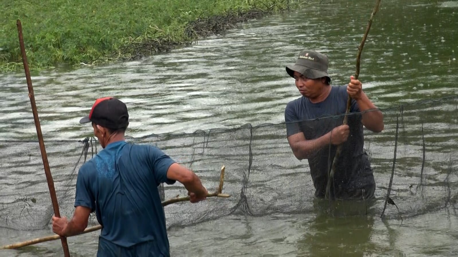TERDAMPAK: Kolam budidaya ikan air tawar milik warga yang memanfaatkan air dari saluran irigasi Riam Kanan di Kabupaten Banjar. 