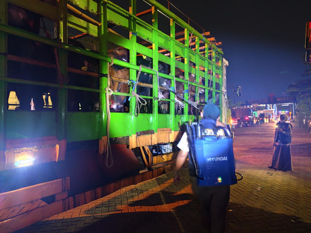 PENGECEKAN: Petugas BKHIT Kalsel melakukan pengecekan dokumen sertifikat karantina resmi terhadap penumpang yang membawa hewan maupun tumbuhan di Pelabuhan Trisakti. 
