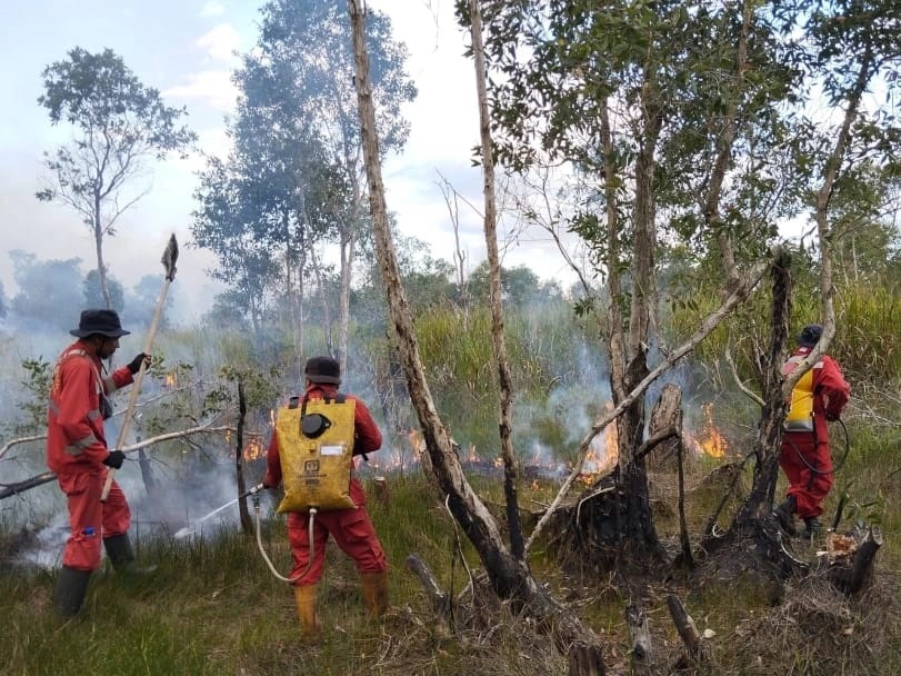 SIAGA: Petugas saat memadamkan api di Jl Guntung Harapan, Kelurahan Guntung Manggis, Kecamatan Landasan Ulin pada 2025 lalu. BPBD kembali bersiap hadapi ancaman musim kemarau tahun ini. 