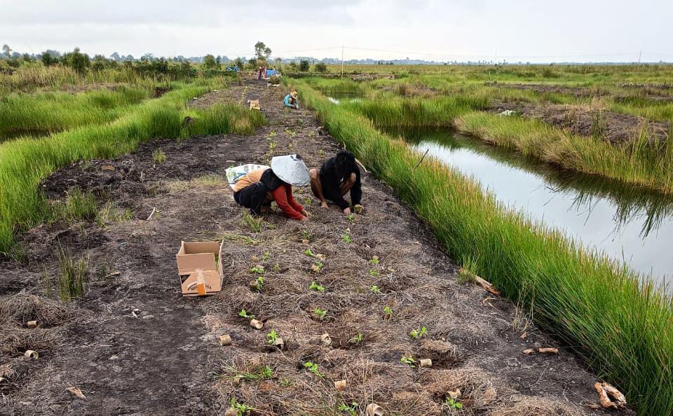 Harga cabai di pasaran sudah tembus 100 ribu perkilogram, petani mengaku kebagian THR.