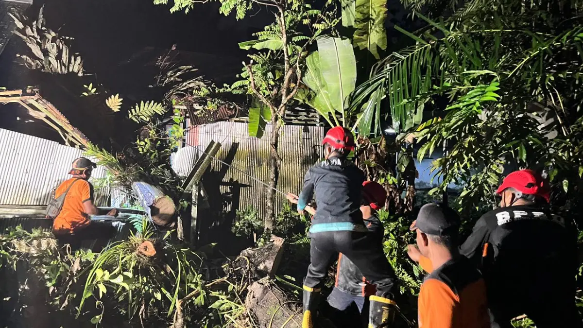 EVAKUASI: Tim BPBD HSS saat melakukan evakuasi pohon tumbang di salah satu lokasi.