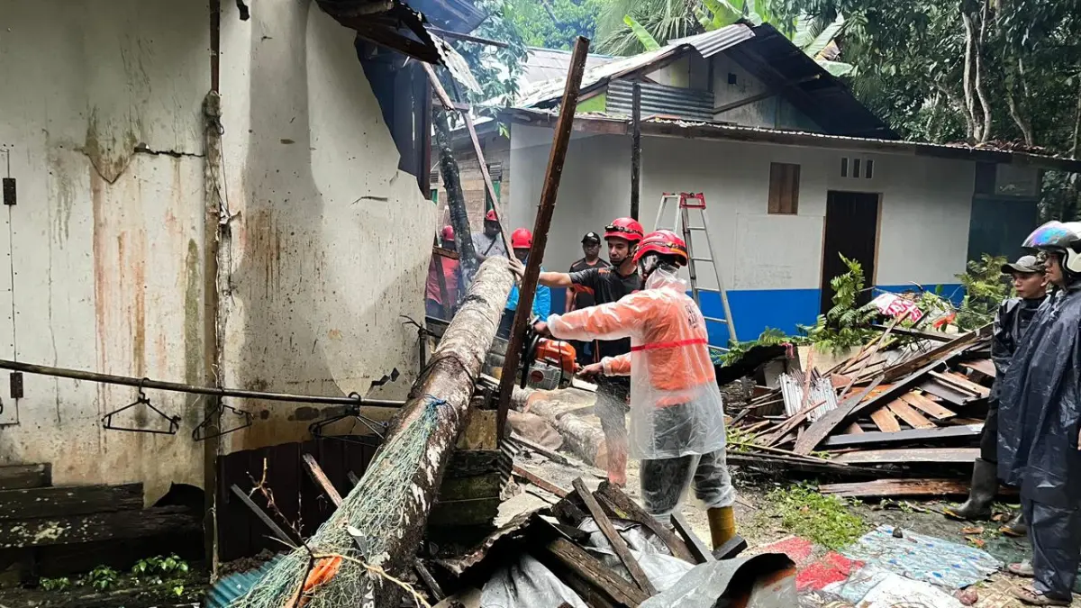 EVAKUASI: Tim BPBD HSS saat melakukan evakuasi pohon tumbang di salah satu lokasi.