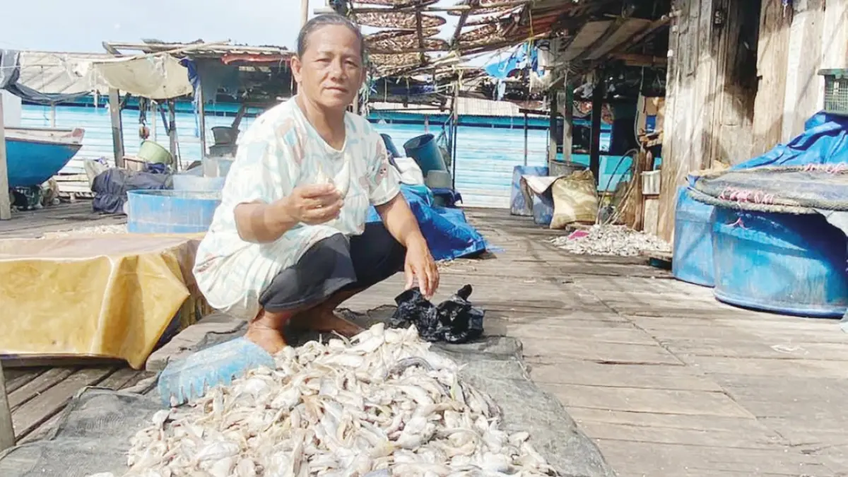 Di bawah terik matahari pesisir, para ibu nelayan Suku Bajau di Desa Rampa, Kotabaru, tampak sibuk menggelar ikan hasil tangkapan. Rutinitas mengeringkan ikan ini menjadi bagian tak terpisahkan dari denyut ekonomi keluarga nelayan di desa tersebut.  (Foto: Jumain/ Radar Banjarmasin)