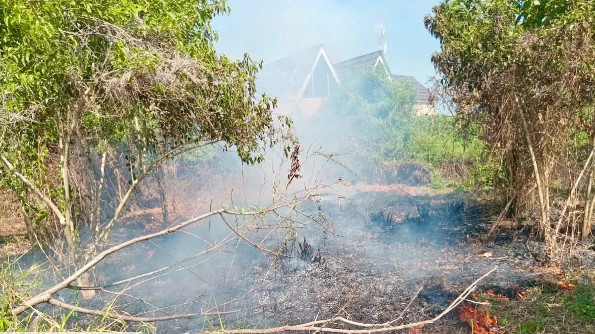 MENUJU KEMARAU: Lahan kering di kawasan Banjarmasin rentan terbakar saat kemarau. (Foto: Endang Syarifuddin/Radar Banjarmasin)
