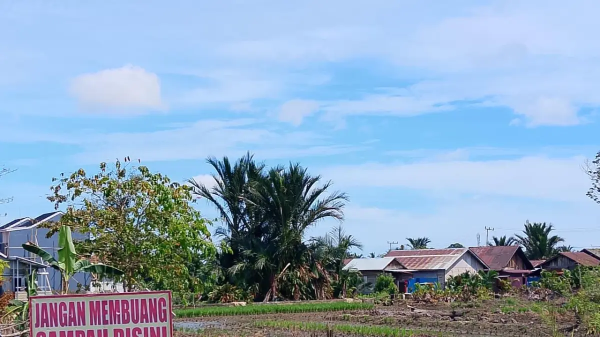 SAWAH: Lahan pertanian di kawasan Sungai Lulut, Banjarmasin menjadi salah satu titik prioritas penanganan pompanisasi untuk mengantisipasi dampak musim kemarau ekstrem.