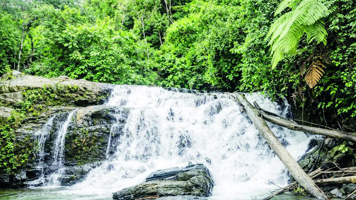 Air Terjun Mandin Selilau