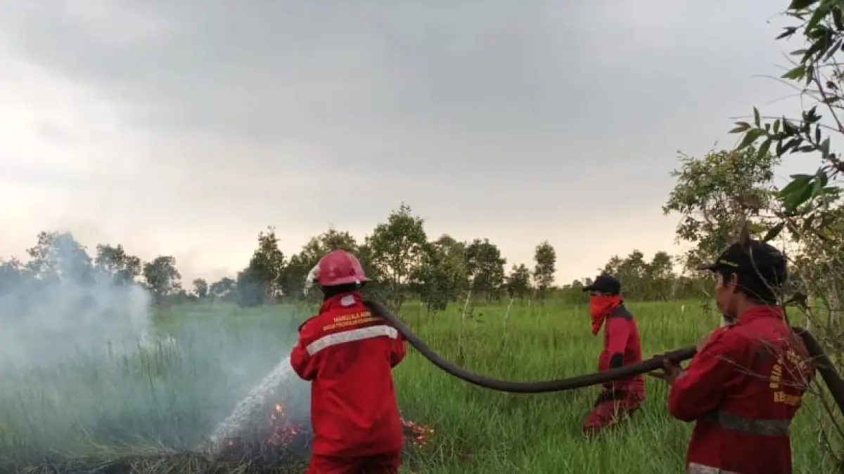 Manggalaagni Kalimantan V/Banjar melakukan Pemadaman Karhutla di wilayah Kelurahan Palam kecamatan Cempaka Kota Banjarbaru, Juli 2025 lalu, (MANGGALA AGNI DAOPS BANJAR UNTUK RADAR BANJARMASIN)
