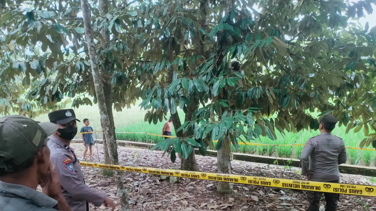 Korban IM (32) warga Desa Binjai, Kecamatan Muara Uya, Kabupaten Tabalong ditemukan meninggal dunia tergantung di pohon. (Polres Tabalong)