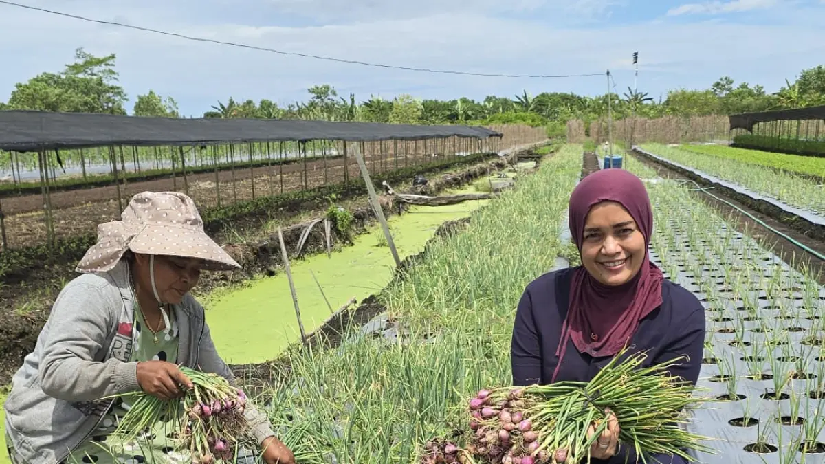 HASIL PANEN:  Anggota DPRD Kota Banjarbaru, Siska Monalisa saat mengunjungi KWT Liang Anggang. 