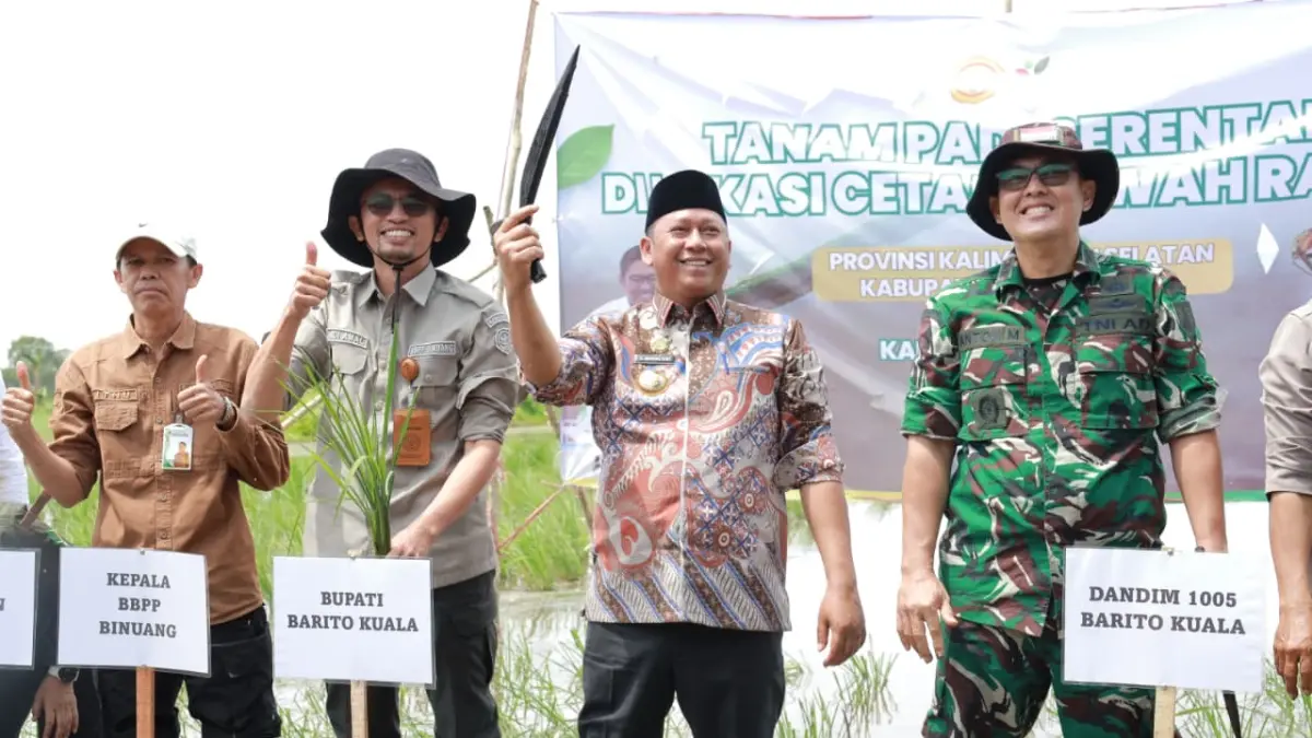 TANAM PADI: Bupati Barito Kuala H Bahrul Ilmi bersama Dandim 1005/Batola Letkol Inf Anton Mahriadi,dan sejumlah pihak saat melakukan penanaman padi di kawasan cetak sawah, sebagai upaya mendukung ketahanan pangan.