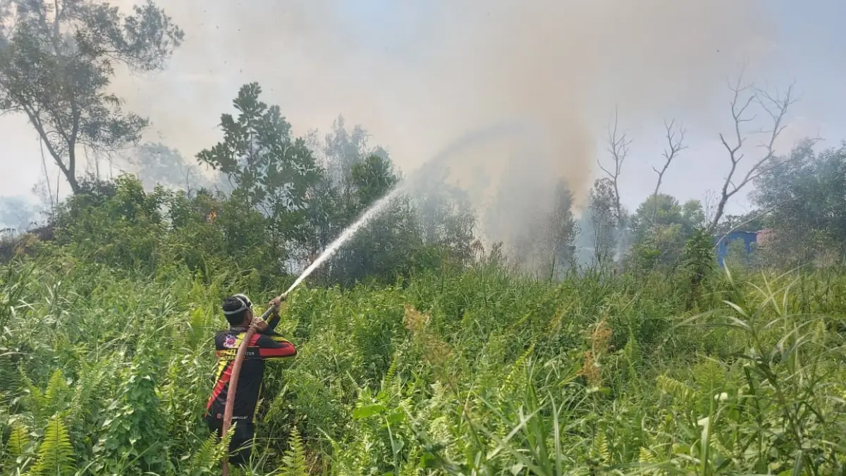 MEMADAMKAN: Petugas BPBD Kalimantan Selatan saat memadamkan api yang membakar lahan gambut di wilayah Kecamatan Liang Anggang (FADLAN ZAKIRI/RADAR BANJARMASIN)