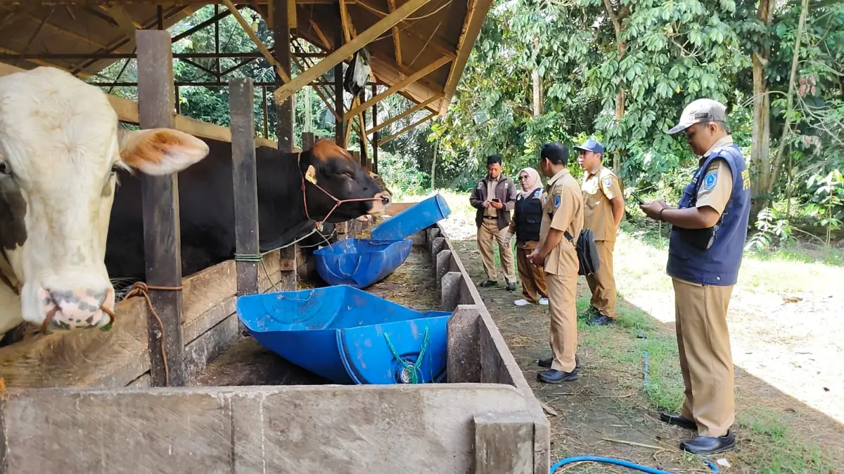 STOK: Bidang Peternakan Dinas Pertanian PP saat lakukan pemantauan stok hewan kurban di HSS pada Selasa (28/4/2026). (Foto: Bidang Peternakan)&nbsp;