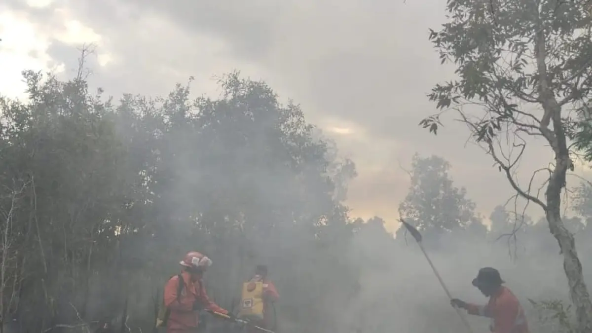 Tim Piket Regu III Melaksanakan Operasi Pemadaman darat yg berlokasi Jl Guntung Harapan (Belakang Kampus UIN Banjarbaru) Kelurahan Guntung Manggis Kecamatan Landasan Ulin Kota Banjarbaru pada 2025 lalu (MANGGALA AGNI DAOPS BANJAR untuk Radar Banjarmasin)