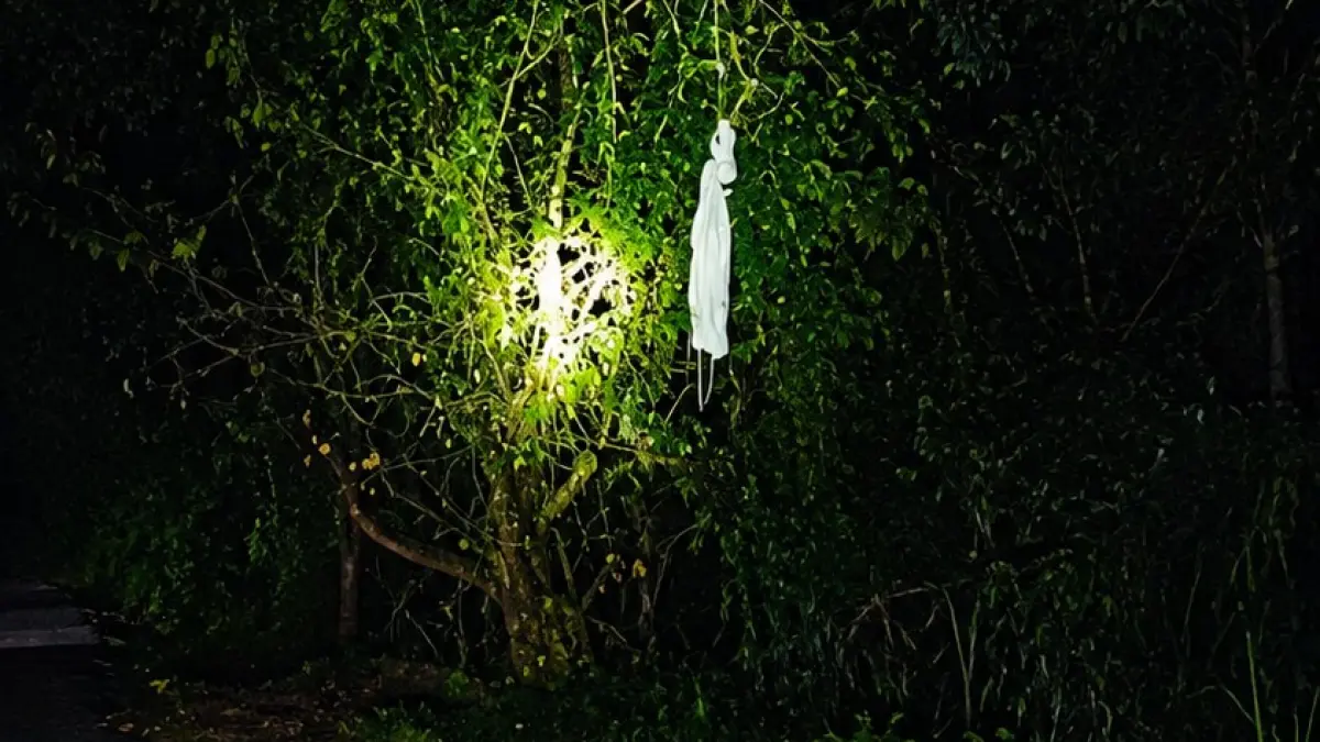 BIKIN TAKUT: Karung putih yang menggantung di atas pohon di kawasan Haur Gading sempat membuat warga resah karena menyerupai pocong. (Foto: M.Akbar)&nbsp;