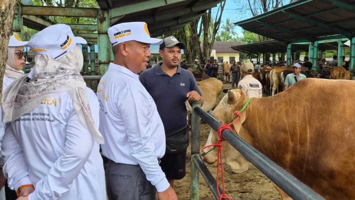 BERBINCANG: Ketua Komisi II DPRD Tala Agus Prasetya saat berbincang dengan peternak sapi di Rumah Potong dan Pasar Hewan (RPPH) Sarang Halang, Kecamatan Pelaihari, Senin (11/5/2026).