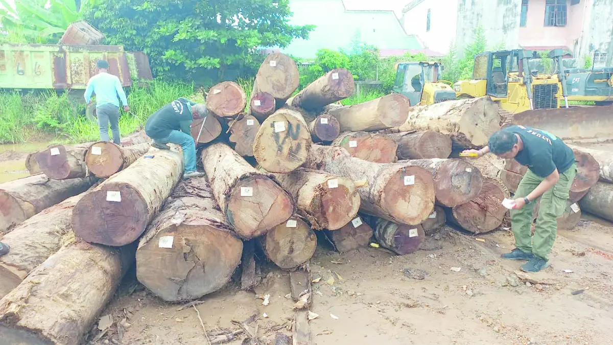 TAK BERTUAN: Kayu tak bertuan yang sudah dibawa dan diamankan di gudang penampungan barang bukti di Jalan RO Ulin, Banjarbaru.
(FOTO: DISHUT KALSEL)&nbsp;