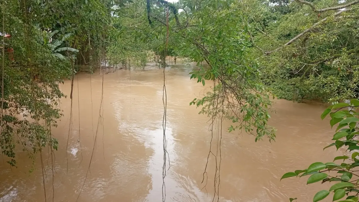 KERUH: Sungai Amandit yang keruh akibat ada kenaikan debit air. (Foto: M. Padil Ihsan/Radar Banjarmasin)&nbsp;