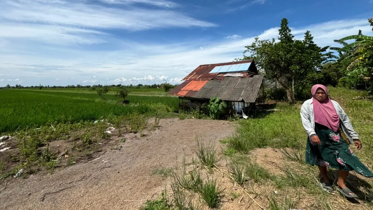 KENDALA BENIH: Hamparan sawah di kawasan Pertanian Sungai Lulut Dalam, Banjarmasin Timur. (Foto: Zulvan Rahmatan/Radar Banjarmasin)